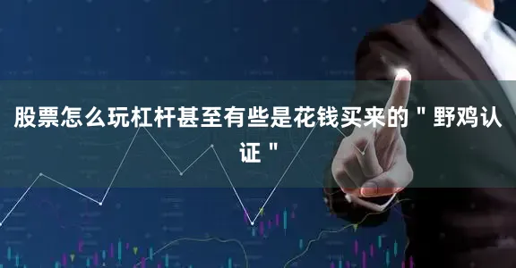 股票怎么玩杠杆甚至有些是花钱买来的＂野鸡认证＂