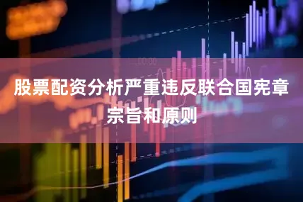 股票配资分析严重违反联合国宪章宗旨和原则